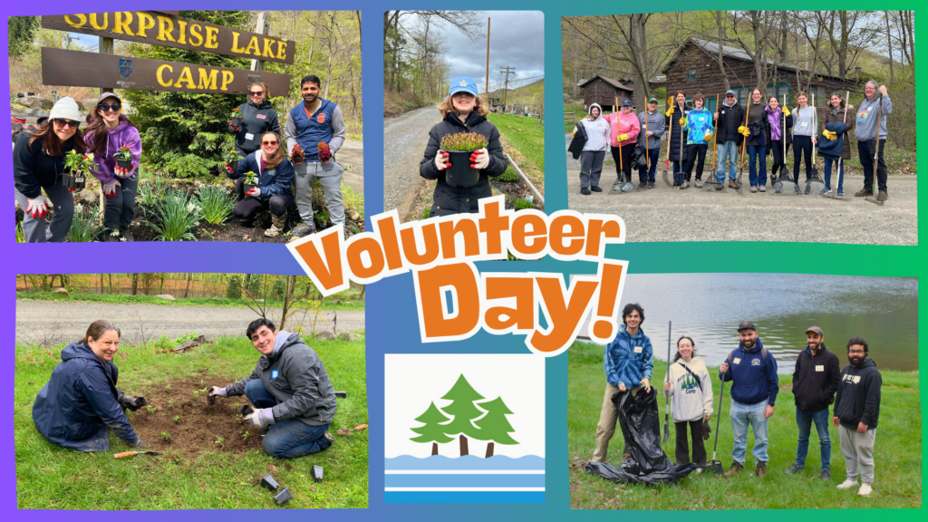 Volunteer Day 2026